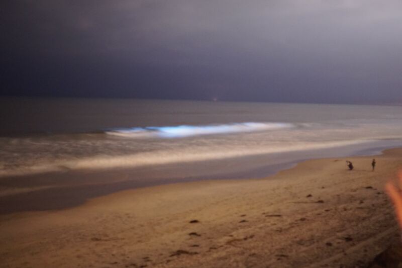A beach at dusk under heavy clouds, with a pale wave breaking along the sand.